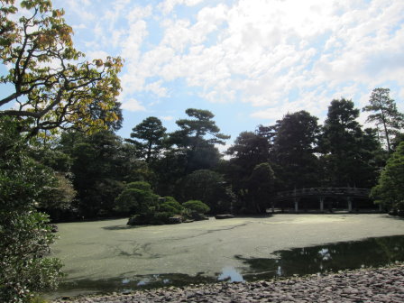 側拍御池庭