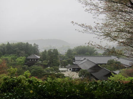 俯看銀閣寺