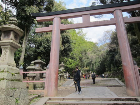 春日大社-鳥居