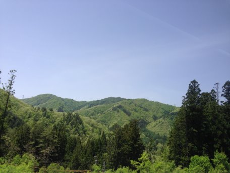 窗外一景