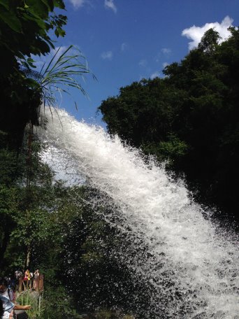 樹幹噴水