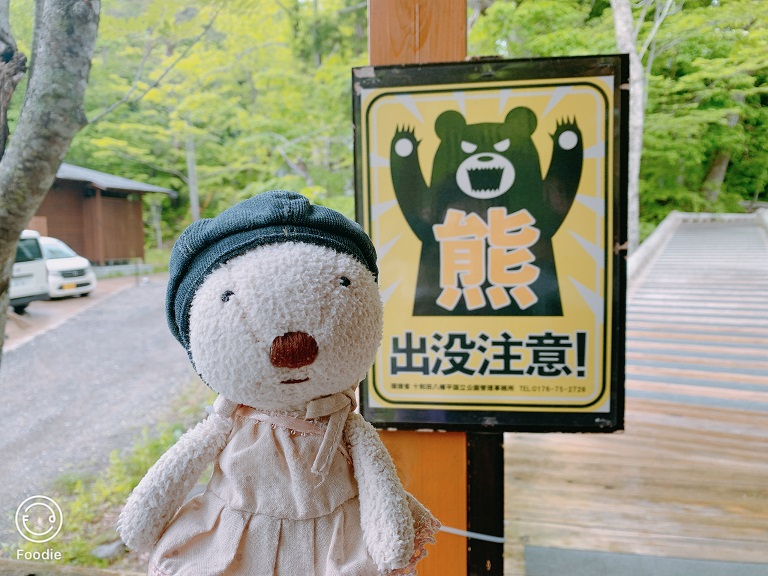 熊出沒注意