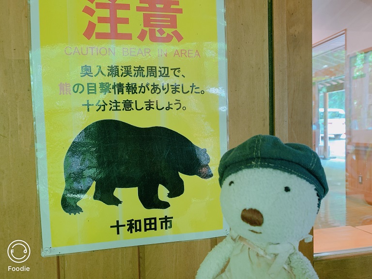 熊出沒注意