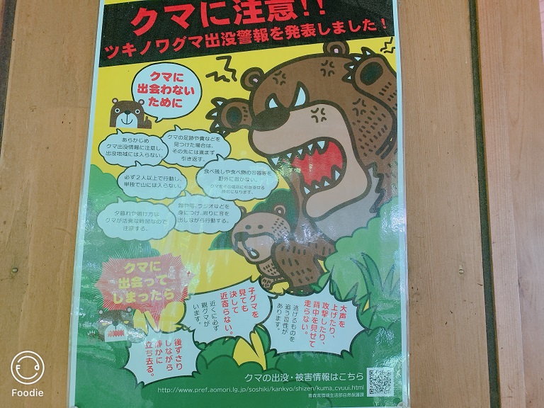 避免遇到熊