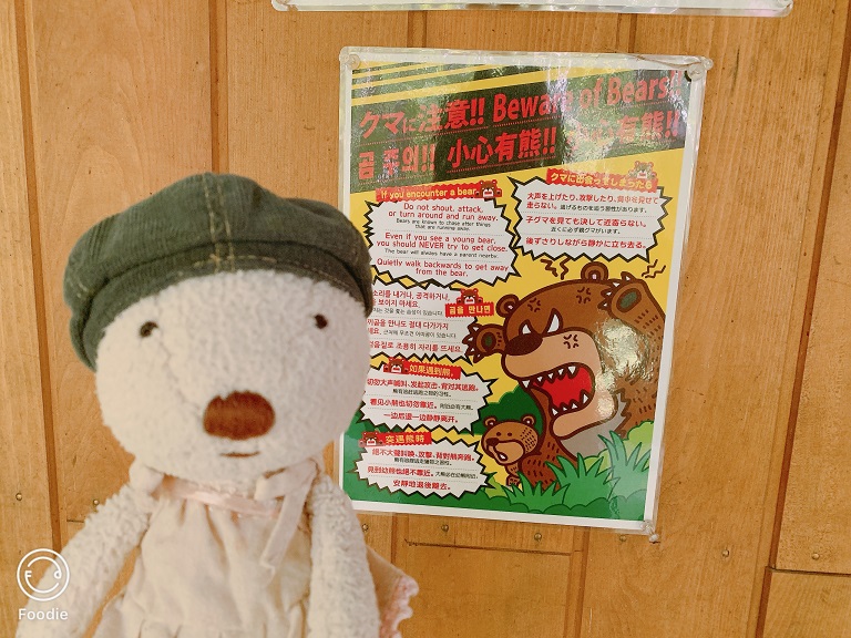 遇到熊的做法