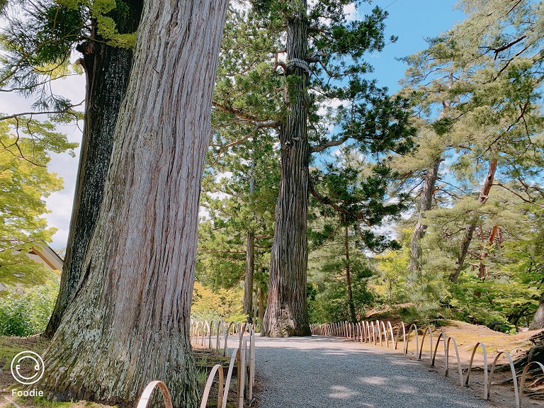小石子道路